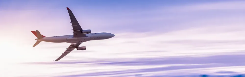 Airplane in Violet Sky Airfare Sale